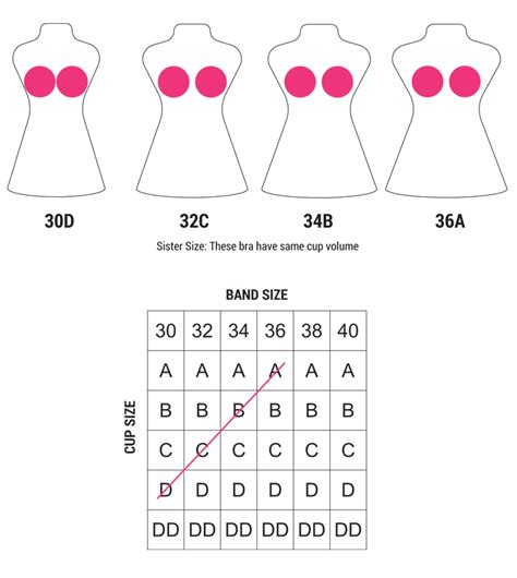 32b boob size. If your bra size is a 32B, this means that your ribcage measures 32 inches in circumference whilst your bust circumference measures two inches larger. It’s also useful to understand that a B cup in a 32 band will hold more volume of breast tissue than a 28 band, but less than a 36 band, so the cup size is also relative to the band size. 