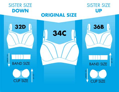 Celebs with a 32d bra size, International bra size conversion table