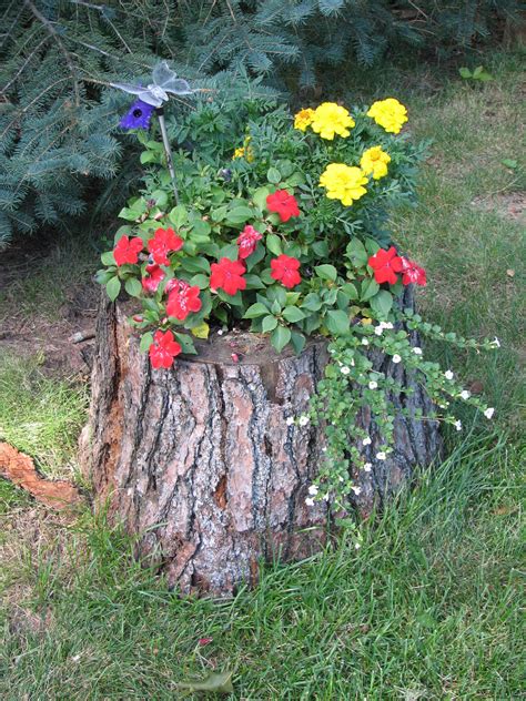 33 Tree Trunk Ideas tree stump, outdoor gardens, tree trunks