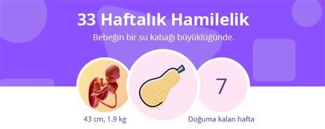 33. Hafta Gebelik. 
