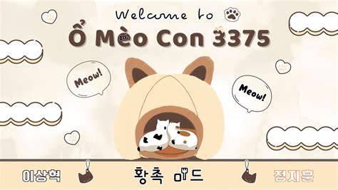 3375 Halı ve Koltuk Yıkama