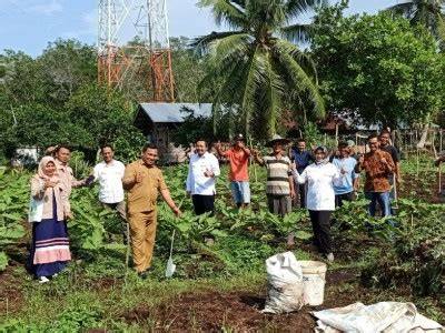 34 Hektare Lahan Gambut di Riau Direstorasi untuk … - raincitystudios.com