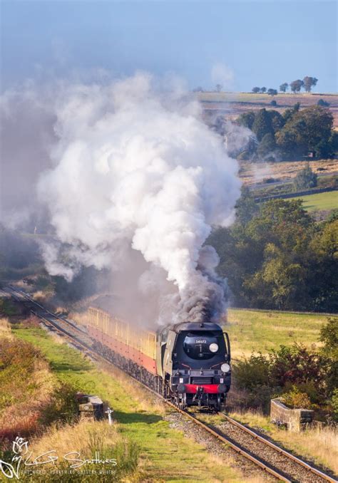 34072 Halı ve Koltuk Yıkama