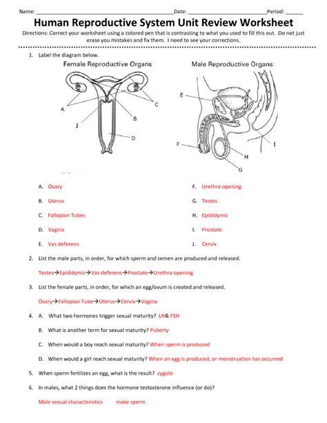 Read Online 343 The Reproductive System Answers 