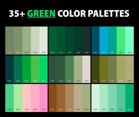 35+ Best Green Color Palettes with Names and Hex Codes CreativeBooster