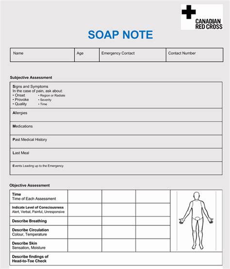 35+ SOAP Note Examples (Blank Formats & Writing Tips)