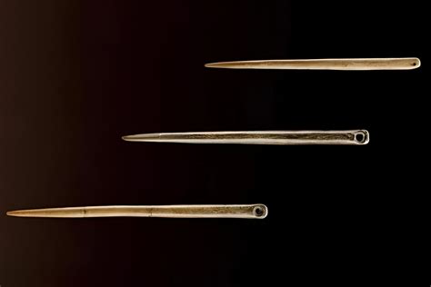 35 Facts About Worlds Oldest Stone Needles - wintechmobiles.com