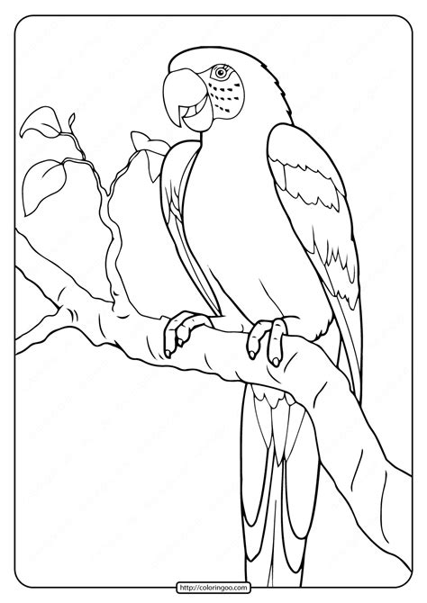 35 Free Parrot Coloring Pages Printable