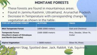 35 Montane Vegetation Type - raincitystudios.com