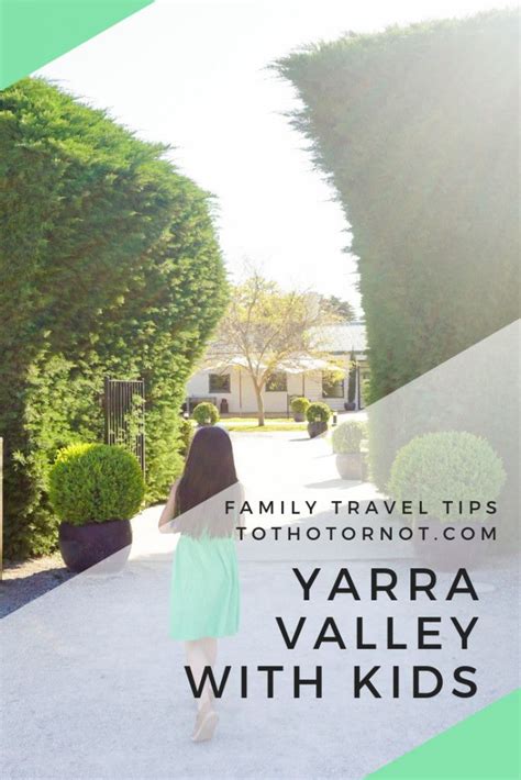 35 Things To Do in the Yarra Valley with Kids - TOT: HOT OR NOT