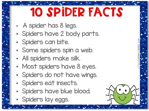 35 Fun Spider Facts For Kids Little Learning Spider 1st Grade Worksheet - Spider 1st Grade Worksheet