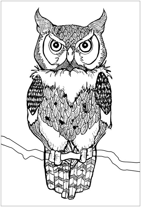 35 Owl Coloring Pages 2024 Free Printable Sheets Great Horned Owl Coloring Page - Great Horned Owl Coloring Page