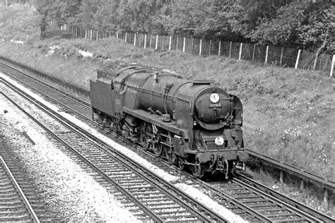 35007 Halı ve Koltuk Yıkama