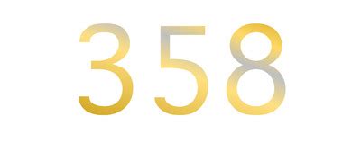 358 Halı ve Koltuk Yıkama