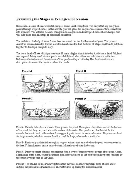 36 Ecological Lesson Answer Succession Key