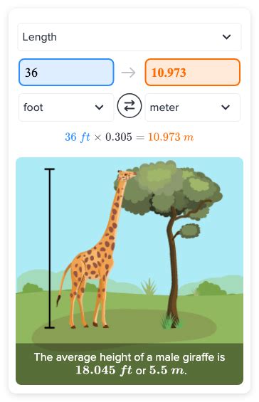 36 Feet Is How Many Inches