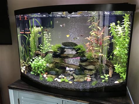 36 Gallons
