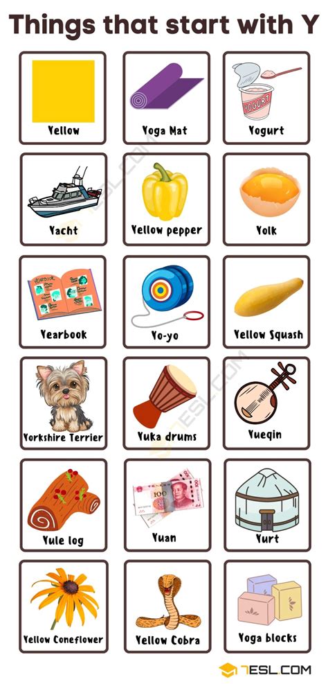 36 Things That Start With Y In English Objects That Start With Y - Objects That Start With Y