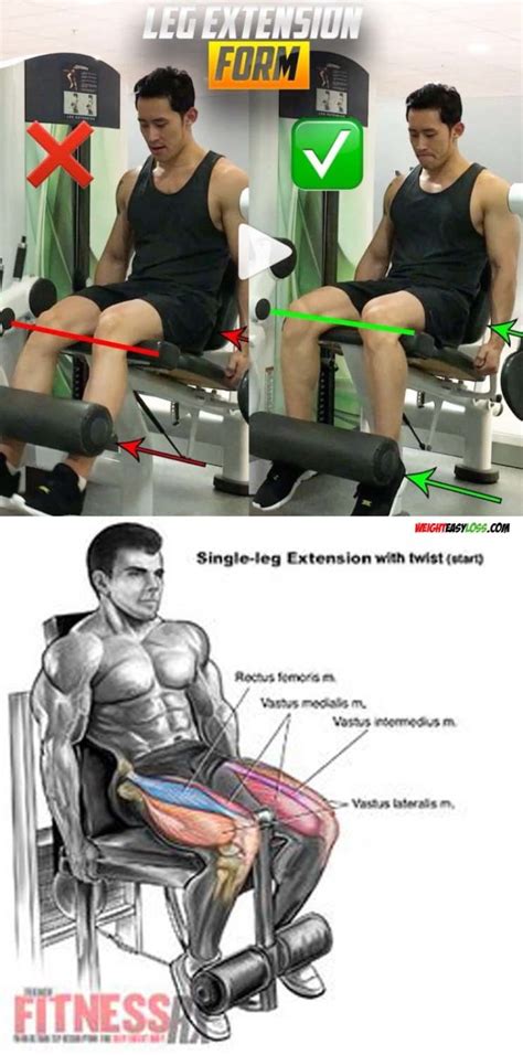 360CUT The Proper Form Leg Extensions
