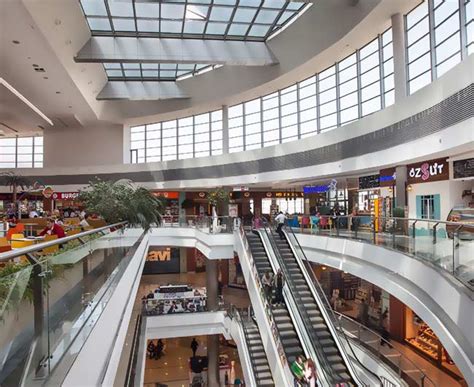 veodersti.rgarabwor.edu.pl. 