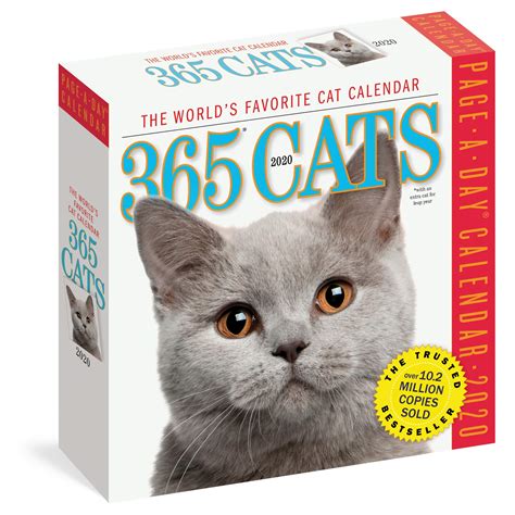 365 Day Cat Calendar