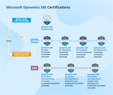 365 Training And Certification
