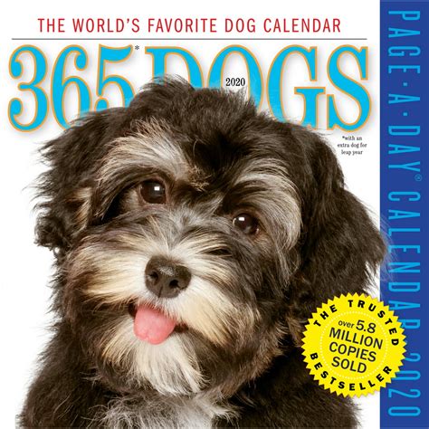 Read 365 Dogs Pageaday Calendar 2020 By Workman Publishing