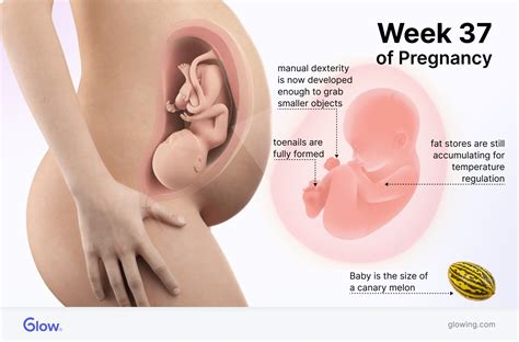 37 weeks pregnant felt a pop but no water. .  ...