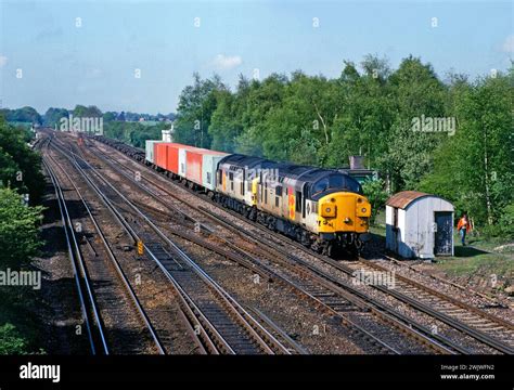 37065 Halı ve Koltuk Yıkama