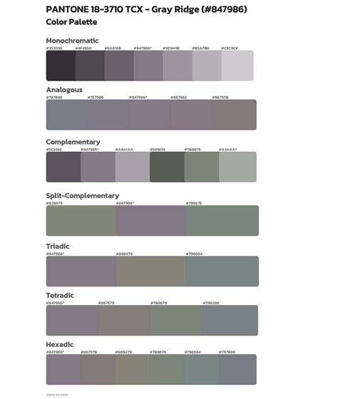 3710 Halı ve Koltuk Yıkama