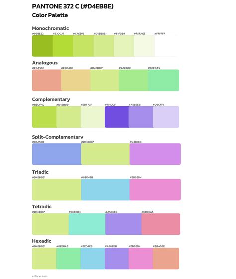 372 Halı ve Koltuk Yıkama