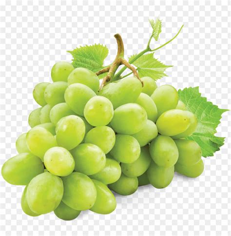 374 Holding Grapes White Background Premium High Res …