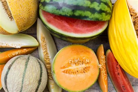 38 Different Types of Melons (Yup, That Many!)