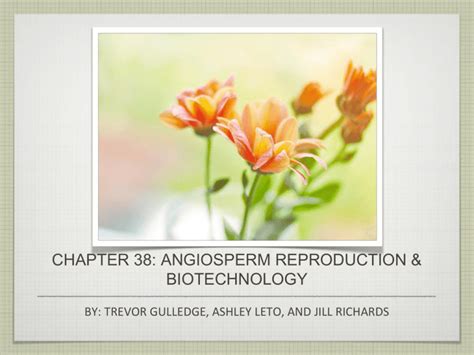 38 angiosperm reproduction and biotechnology guide answer. - Fundamentals of anatomy and physiology for student nurses.