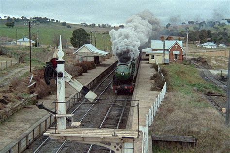 3801 Halı ve Koltuk Yıkama