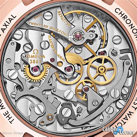 veodersti.rgarabwor.edu.pl. 