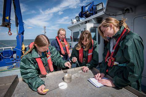 389 Marine Science jobs in Australia | Jora - raincitystudios.com
