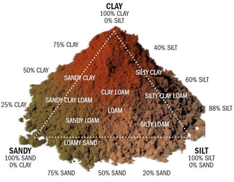 38Sandy soils—cont