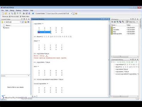 39 Multiplying and Dividing Matrices Element by Element.