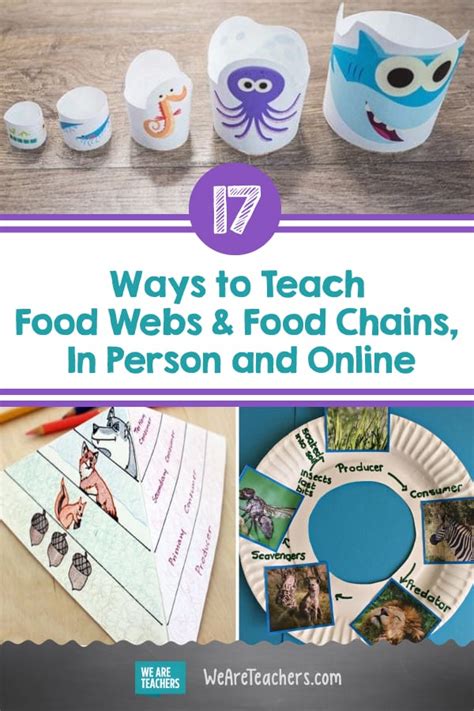 39 Awesome Ways To Teach Food Webs Teaching Food Chain Activities 4th Grade - Food Chain Activities 4th Grade
