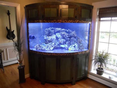 39 gallon aquarium. Shop the Top Fin Bowfront 36-gallon fish tank at PetSmart. Find the perfect tank for your fish with our selection of aquariums. Free shipping on orders over $49. 