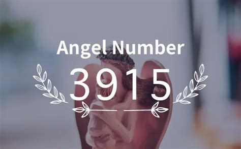 3915 Halı ve Koltuk Yıkama