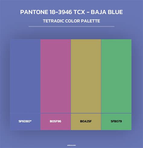 3946 Halı ve Koltuk Yıkama
