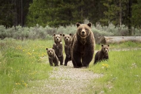 399 Halı ve Koltuk Yıkama