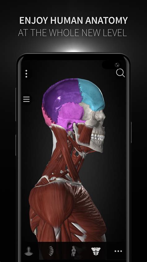 3D Anatomy Atlas Apk