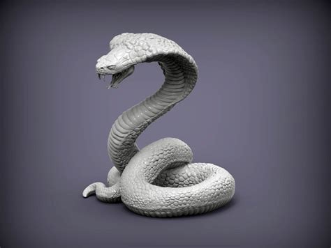 3D Cobra Models. 