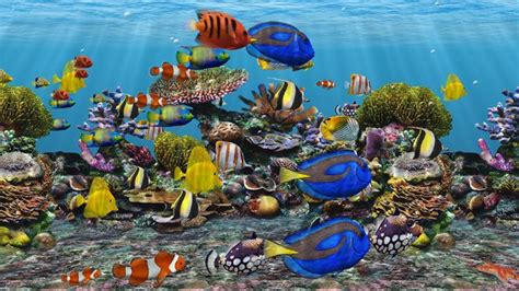 3D Fish School Aquarium DVD Screensaver for TV - Gelios Software