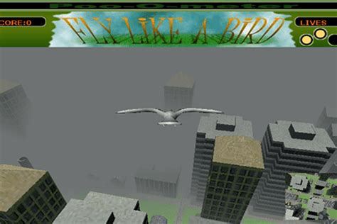 codini.rgarabwor.edu.pl. 