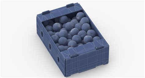 codini.rgarabwor.edu.pl. 