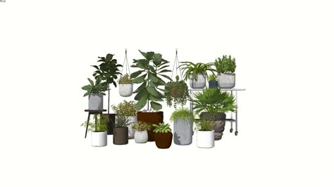3d Plants | XfrogPlants - muktibox.com